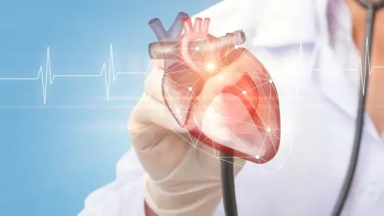 CARDIOVASCULAR PROCEDURES