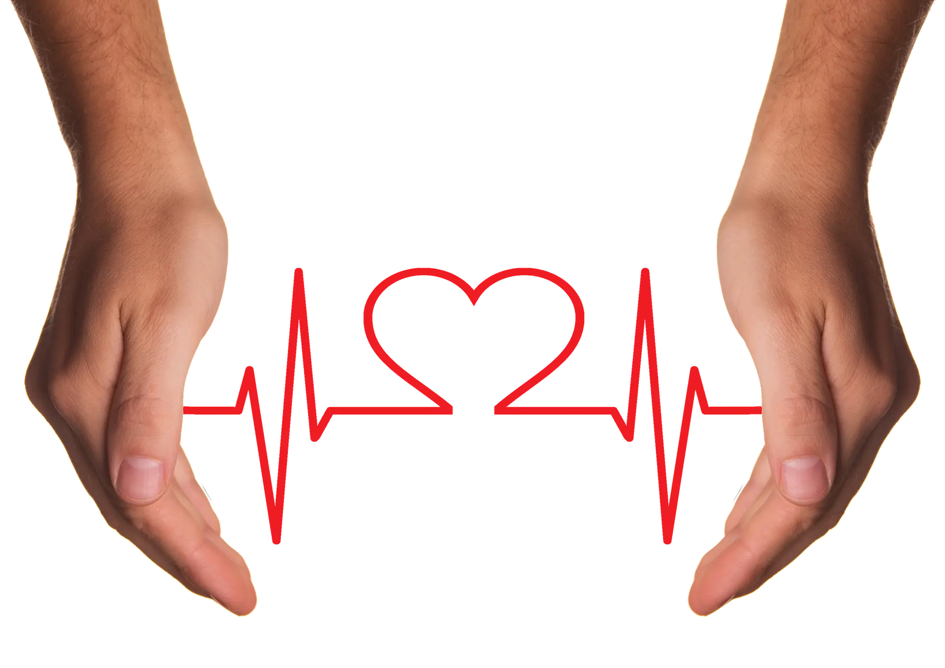 Egypt Health tourism